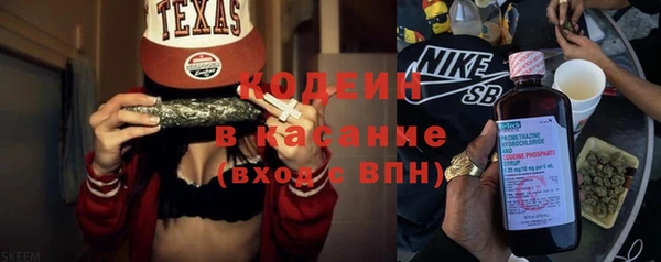 прущие грибы Вязьма