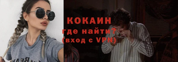 прущие грибы Вязьма